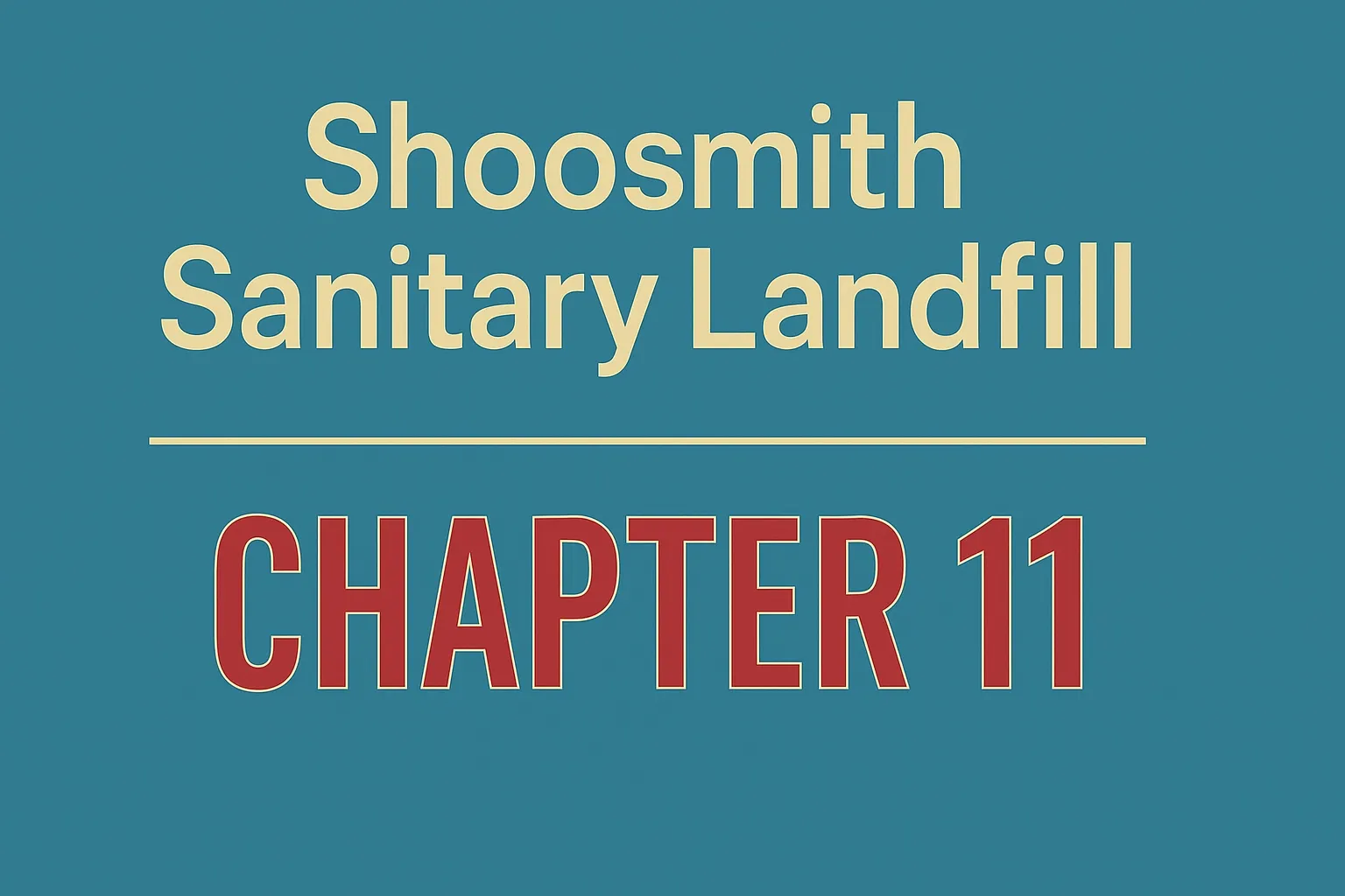 Case Summary: Shoosmith Sanitary Landfill Chapter 11 Post image