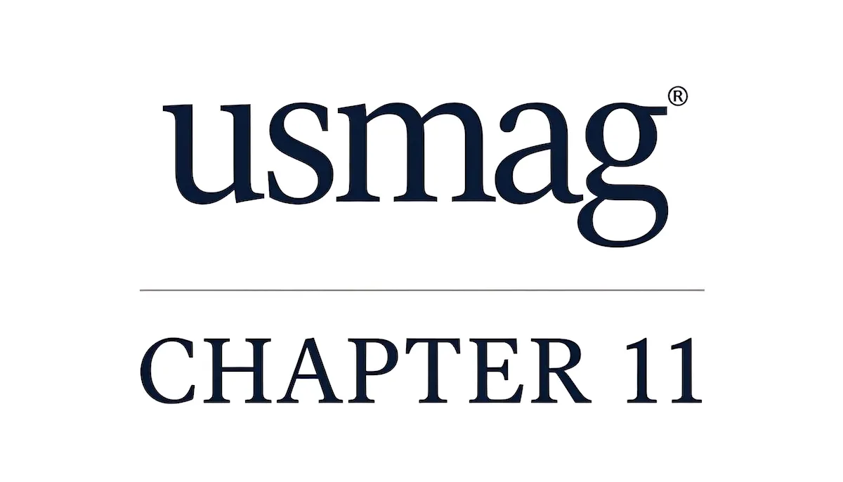 Case Summary: US Magnesium Chapter 11 Post image